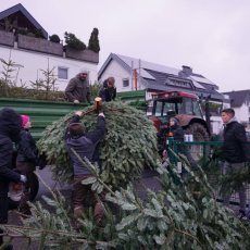 tannenbaum19neu_6_.jpg